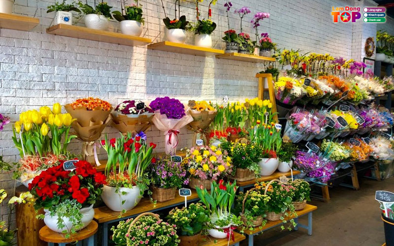 Dalat-hasfarm-lamdongtoplist
