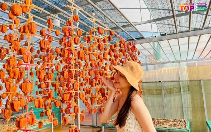 Vuon-hong-ong-thang-farm-lamdongtoplist