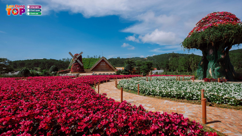 Fresh-garden-da-lat