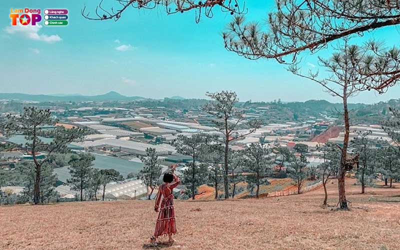 Doi-da-phu-da-lat-2