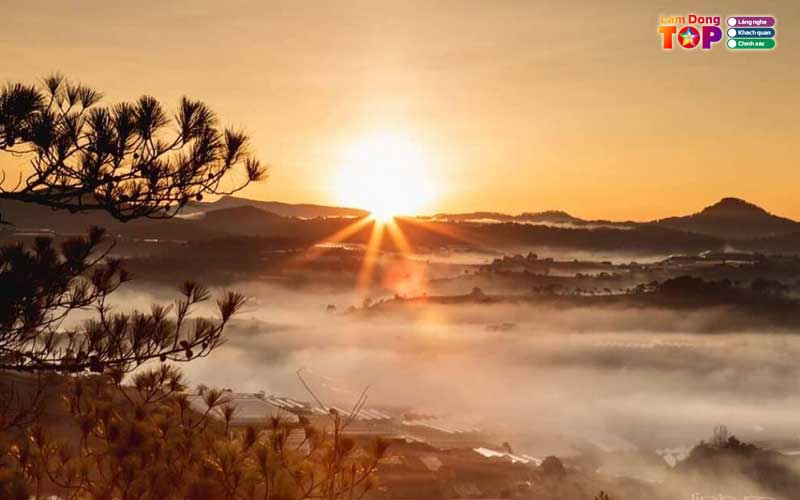 Doi-da-phu-da-lat-4