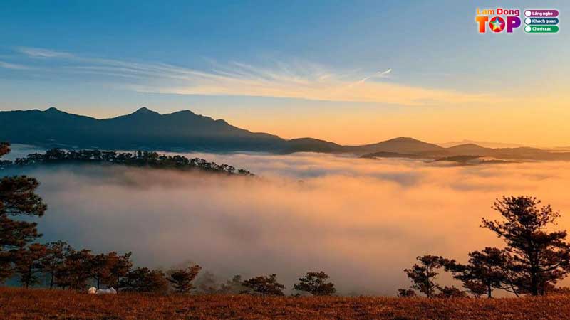 Doi-da-phu-da-lat