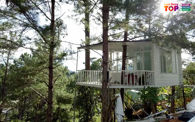 Tree-house-da-lat-lamdongtoplist